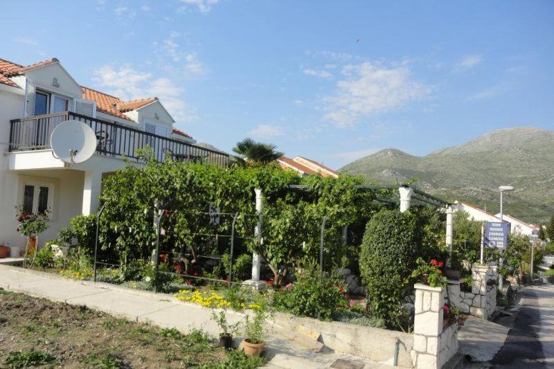 Guest House Pavkovic Slano Dış mekan fotoğraf