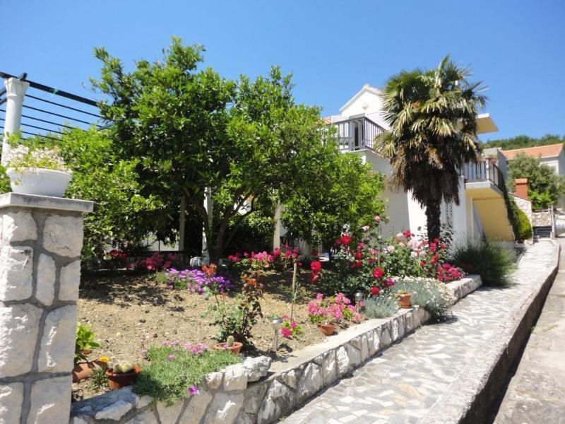 Guest House Pavkovic Slano Dış mekan fotoğraf