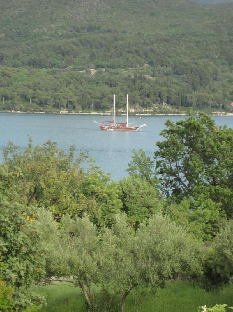 Guest House Pavkovic Slano Dış mekan fotoğraf
